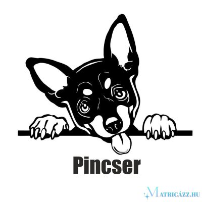 Pincser matrica 13