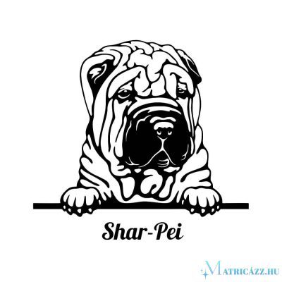 Shar pei matrica 16