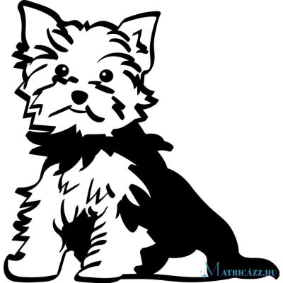 Yorki matrica 10