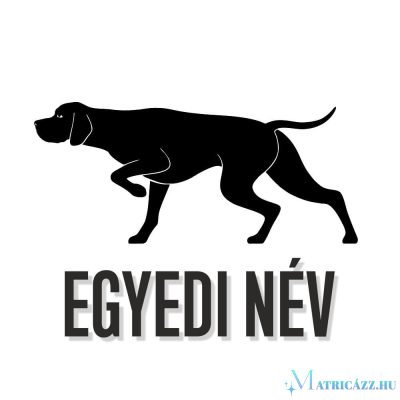 Egyedi neves Pointer matrica