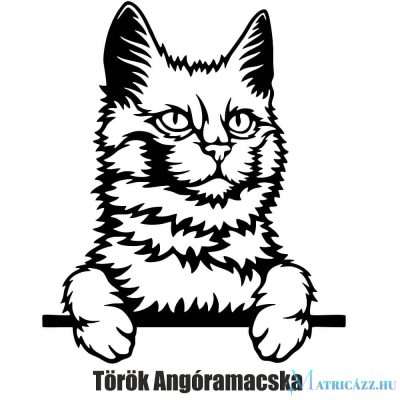 Török Angóramacska matrica