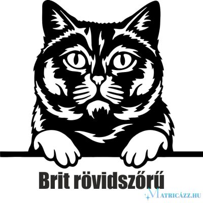 Brit rövidszőrű macska matrica