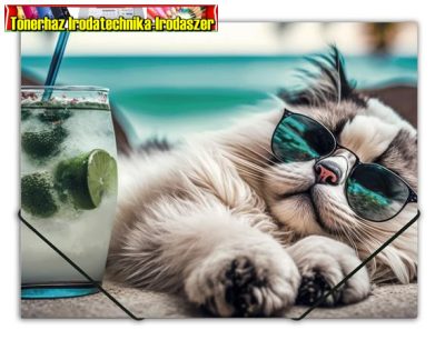 Gumis mappa, 15 mm, PP, A4, PANTA PLAST Chillout cat