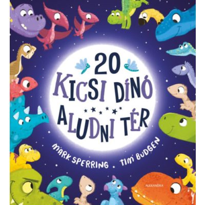 20 KICSI DINÓ ALUDNI TÉR