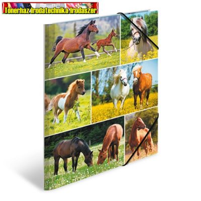 Gumis mappa karton Herma A/4 Lovak