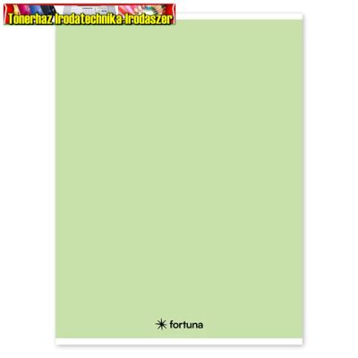 Füzet vonalas Monocolor A/4 32 lapos pasztell zöld színű borítóval (81-32) (A4) (margós)