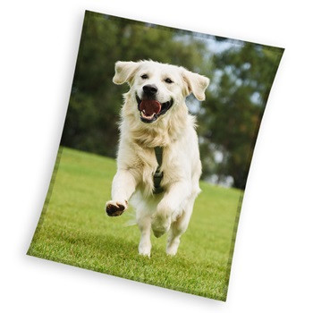 Kutyás Happytail Retriever coral fleece polár takaró 150x200cm