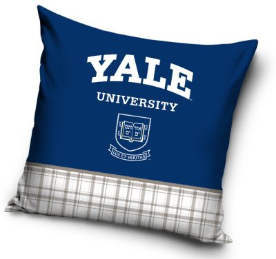 Yale University párnahuzat 40x40 cm
