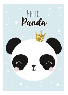 Panda Crown A/4 gumis mappa