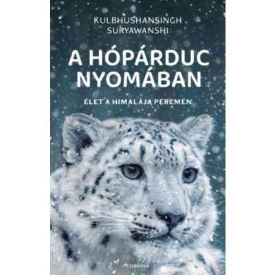 A HÓPÁRDUC NYOMÁBAN