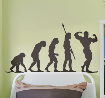 Evolúció falmatrica