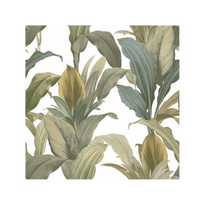 Botany - Garden tapéta 15513