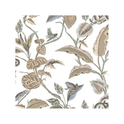 Botany - Botanica tapéta 15506