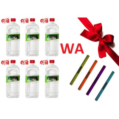 CNI Bioetanol 1,0 L WA - 6db - Ajándék színes gyújtópálcával