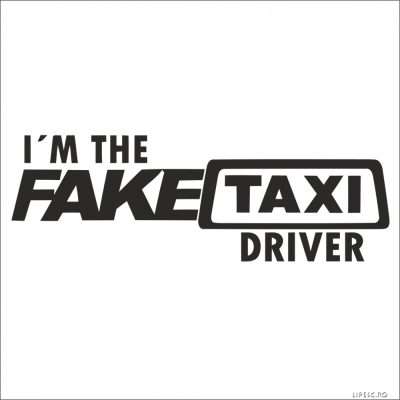FakeTaxi Driver - Autómatrica