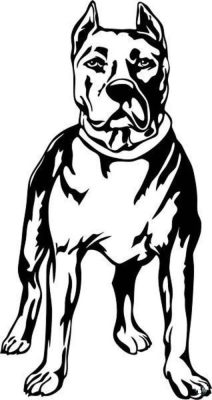 Pit Life "1" matrica