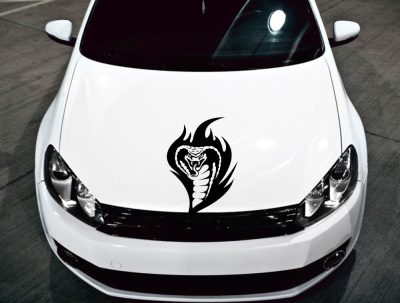 Kobra tuning (1db) matrica 