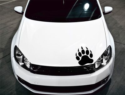 Medve karmok tuning (1db) matrica 