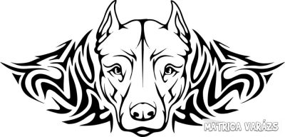 Pitbull tetoválás matrica