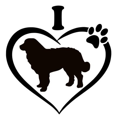 Berni pásztor 6 matrica 