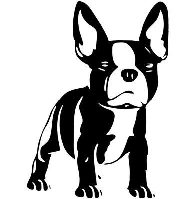 Francia bulldog matrica 5