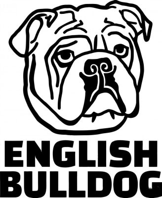 Angol bulldog 4 matrica 