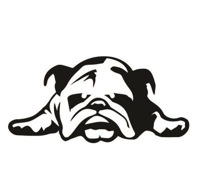 Angol bulldog 12 matrica 
