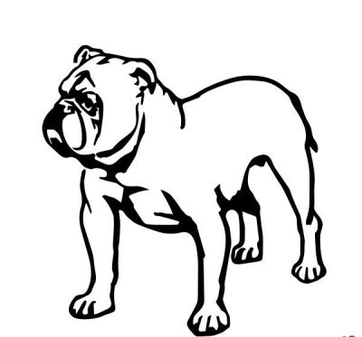 Angol bulldog 15 matrica