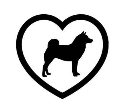 Akita 6 matrica 