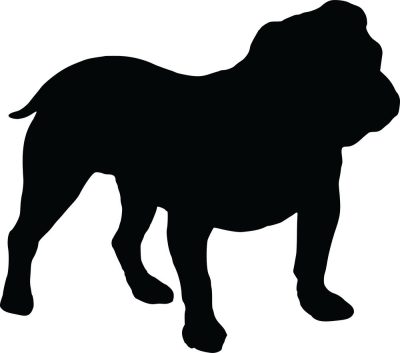 Angol bulldog 22 matrica 
