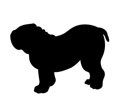 Angol bulldog 24 matrica