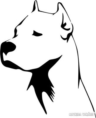 Argentin dog matrica 9