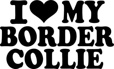 I Love My Border Collie felirat matrica 