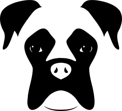 Boxer matrica 14