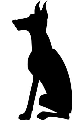 Dobermann matrica 15