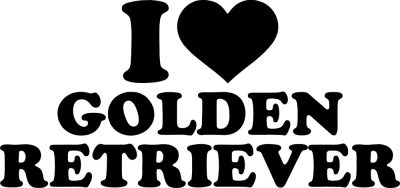 Golden retriever matrica 8