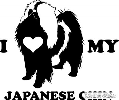Japán csin matrica 5