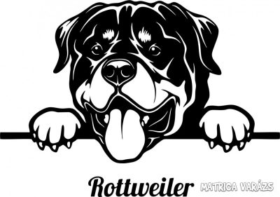 Rottweiler matrica 14