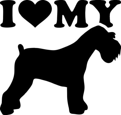 Schnauzer matrica 6