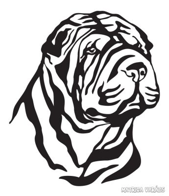 Shar Pei matrica 13