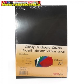 Hátlap fényes fekete A/4 100 lap/cs 250gr. EVO