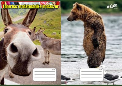 Füzet, tűzött, A5, vonalas, 32 lap, 3. osztály, COOL BY VICTORIA, Funny animals, 12-32
