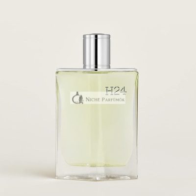Hermes H24 for Men Eau de Parfum Spray, 175g