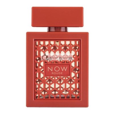 Rave Fantasztikus Gyűjtemény EDP Férfiaknak és Nőknek, 100ml