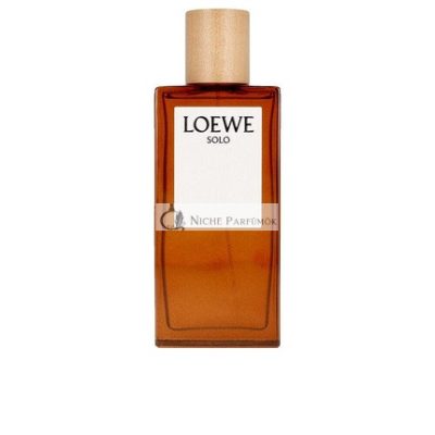 Solo Loewe Eau de Toilette Spray, 100ml