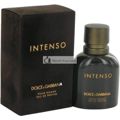 D&G DG PH Intenso EDP, 100ml