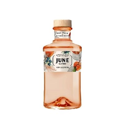 June by Gvine wield peach gin 0,7l