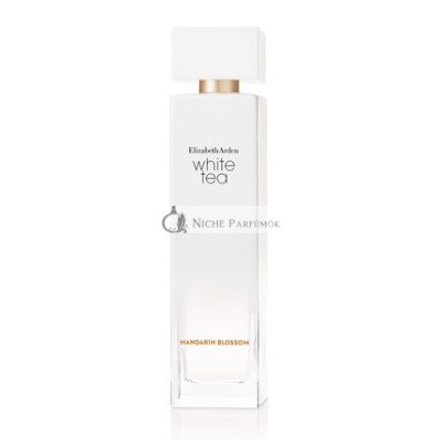 Elizabeth Arden Modern Spray Parfüm nőknek, 98 ml