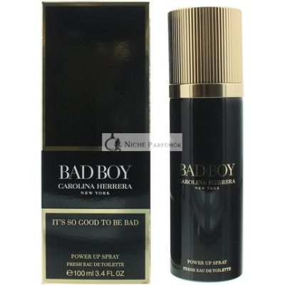 Carolina Herrera Bad Boy férfi Eau De Toilette - 100 ml