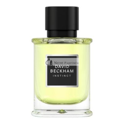 David Beckham Instinct Eau de Parfum, 50 ml